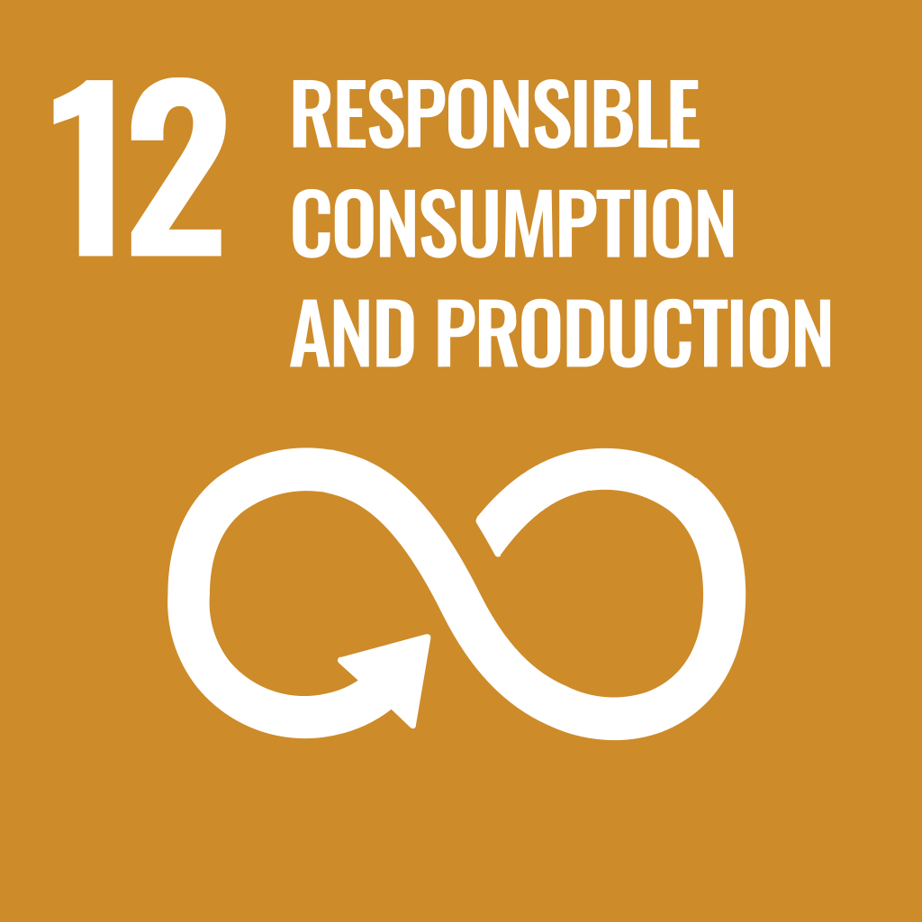 SDG 12: Responsible Consumption And Production